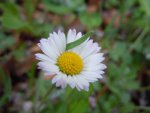 Slevy, bonusy a d�rky k z�jezd�m