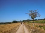 Svatojakubsk� p�� pou� do Santiaga de Compostela s n�v�t�vou Coimbry a Fatimy 9. - 18. 8. 2012