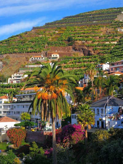 Putovn na chvatn ostrov Madeira