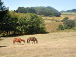 Svatojakubsk p pou do Santiago de Compostela