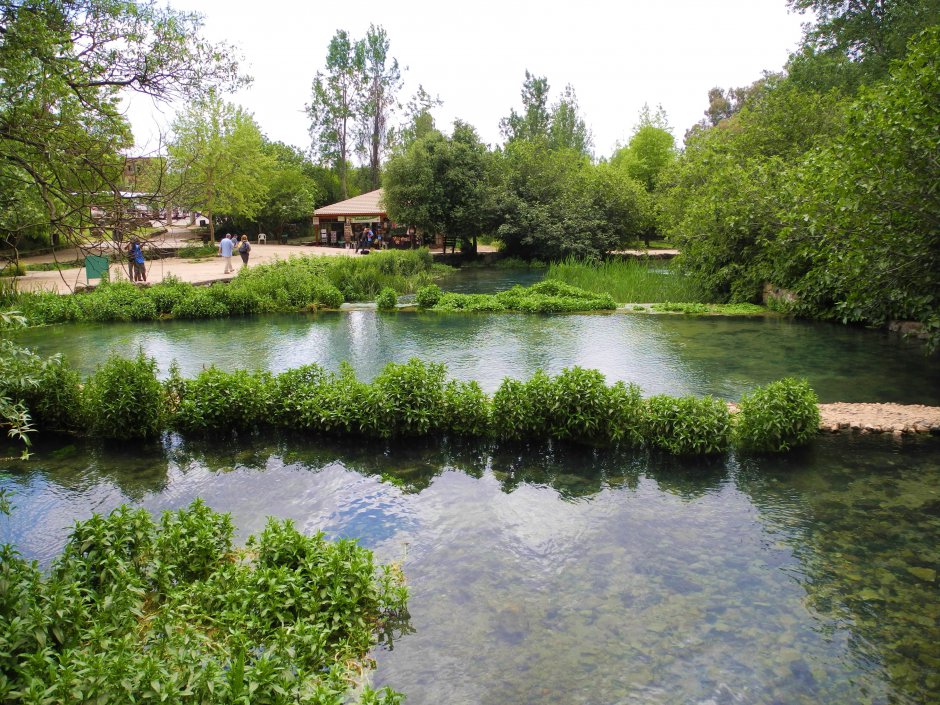 Banias (Izrael)