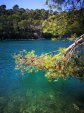 Chorvatsk ostrov Mljet 2