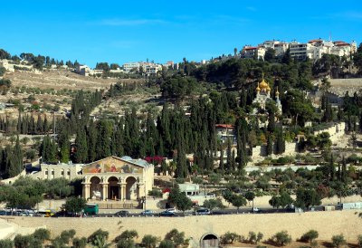 Zájezd do Izraele a Palestiny - nezapomenutelné putování Svatou zemí 23. 6. - 30. 6.2023 Zájezd do Izraele a Palestiny - nezapomenutelné putování Svatou zemí 23. 6. - 30. 6.2023