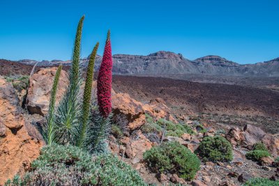 Zájezd na Kanárské ostrovy - Tenerife a Gran Canaria 10. 10. - 16. 10. 2019 Zájezd na Kanárské ostrovy - Tenerife a Gran Canaria 10. 10. - 16. 10. 2019