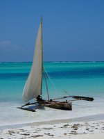 Atraktivní zájezd na Zanzibar - poznávání a odpočinek 27. 2. - 10. 3. 2022 Atraktivní zájezd na Zanzibar - poznávání a odpočinek 27. 2. - 10. 3. 2022